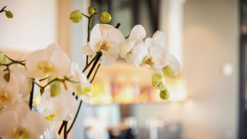 Fotografie z fotogalerie ubytování Heuboden Hotel Heu.Loft Freiburg v destinaci Umkirch