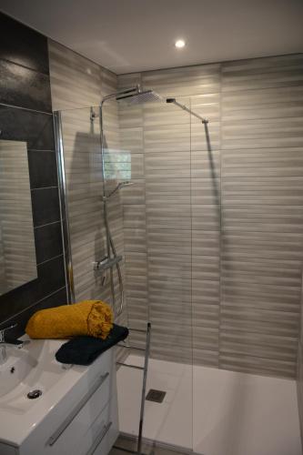 a bathroom with a glass shower and a sink at L'Oiseau Bleu in Tournon-sur-Rhône