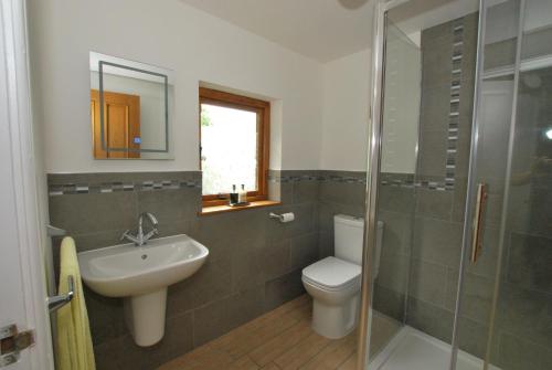 a bathroom with a toilet and a sink and a shower at The Coach House Annexe in Llangollen