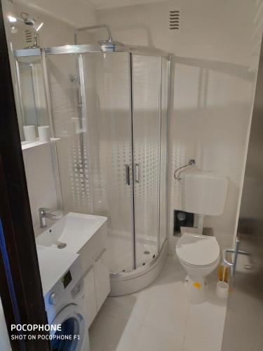 Kúpeľňa v ubytovaní Apartman Cervar Porat