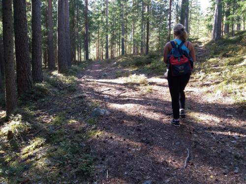 a woman walking on a trail in the woods at Presterudveien 125 in Vikersund