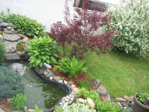 Zahrada ubytování Magnolia B&B