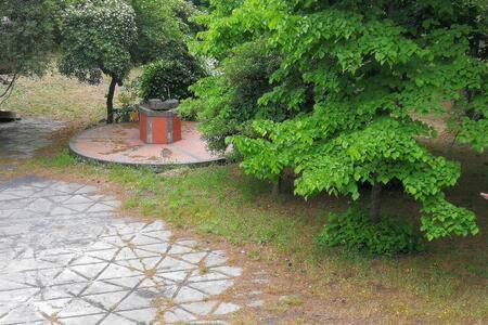 Gallery image of Serra Pizzuta House in Nicolosi
