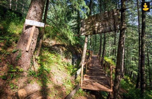 a wooden bridge in a forest with a sign at LivingStone Ojuven Treehouses in Shimla