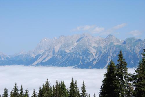 a view of a mountain range with trees in the foreground at Gästehaus Herma in Ramsau am Dachstein