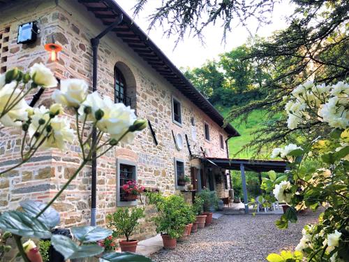 a building with white flowers in front of it at Podere Badia Valdrago Agriturismo Mugello Circuit in Scarperia
