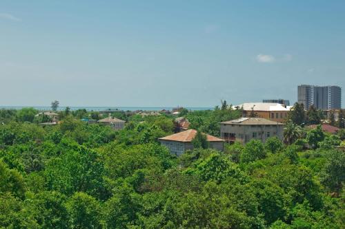 a view of a city with trees and buildings at HOTEL Dadu in Batumi