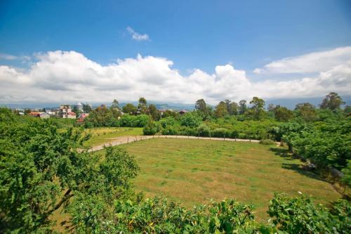 a large grass field with trees in the background at HOTEL Dadu in Batumi