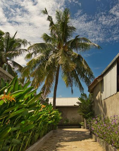 a palm tree in front of a building at Dalai Home in Kuta Lombok