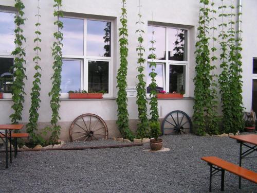 a building with ivy growing on the side of it at A studio Veselka Litomyšl in Litomyšl