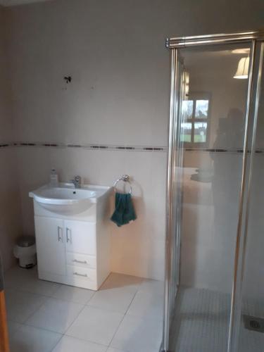 a bathroom with a shower and a sink at Country house in Galway