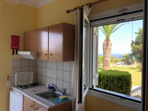 eine Küche mit einem Waschbecken und einem Fenster mit einer Palme in der Unterkunft Nikolaos Studios Skala in Skala