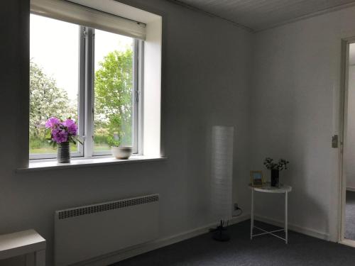 BB-Vadehavet Ferielejlighed til 6 personer ved Nationalpark Vadehavet في ريبي: غرفة بيضاء مع نافذة بها زهور أرجوانية