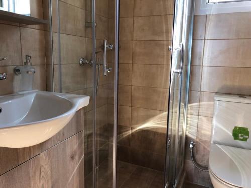 a bathroom with a sink and a shower at Akrogiali Studios in Póros Kefalonias
