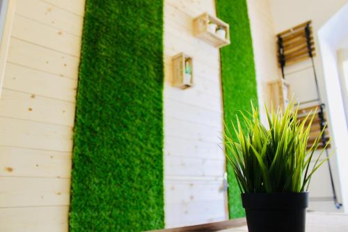 a wall of green moss on a building with a plant at Ragusa 2 al mare in Marina di Ragusa