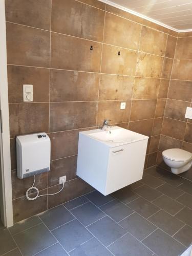 a bathroom with a sink and a toilet at La bulle au bois dormant d'ovifat in Robertville