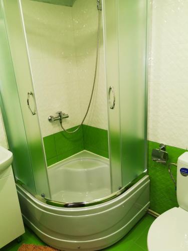 a green bathroom with a shower and a toilet at Ilkova Sadyba in Yaremche