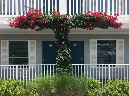 a house with two blue doors and pink flowers at Southern Oaks Inn - Saint Augustine in Saint Augustine