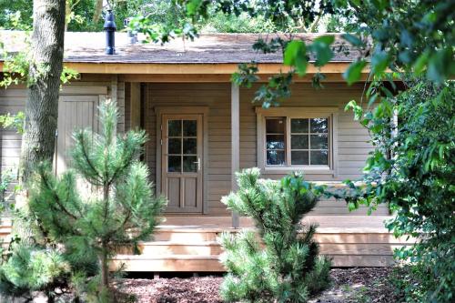 a small house with pine trees in front of it at Het Hilkensberg Park in Broekhuizen