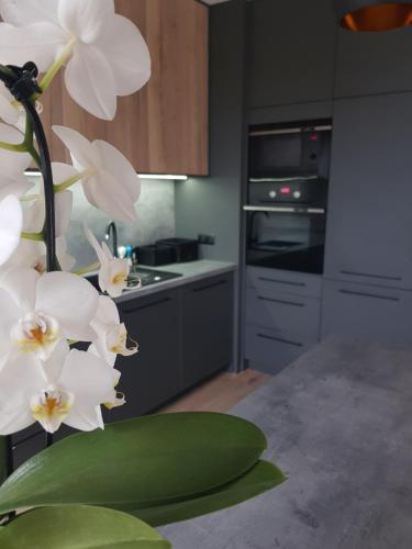 a kitchen with white flowers on a counter at Luksusowe Apartamenty na Toruńskiej in Kwidzyn
