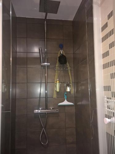 La salle de bains est pourvue d'une douche avec un mannequin sur un portant. dans l'établissement Charmant F2 Paris Expo Versailles, à Vanves