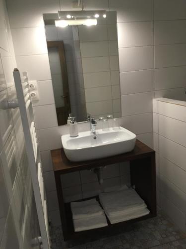 ein Badezimmer mit Waschbecken und Spiegel in der Unterkunft Casa Karola Ház in Băile Tuşnad