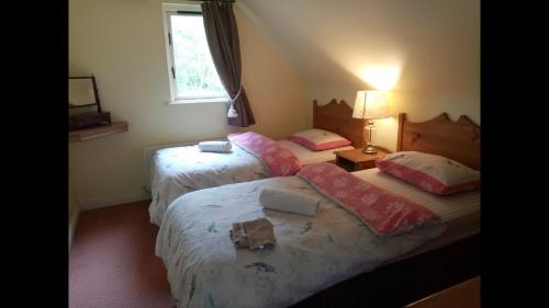 a bedroom with two beds and a window at Lodge in Portumna Ireland in Portumna