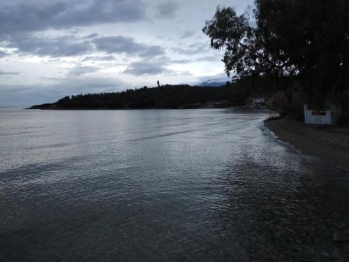 a large body of water with trees in the background at Kalama Apartments in Kálamos