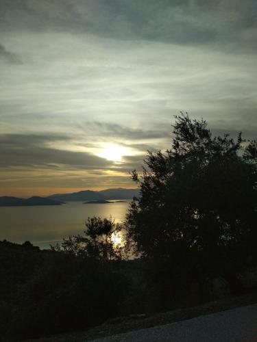 a sunset over a body of water with a tree at Kalama Apartments in Kálamos