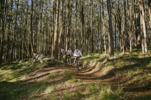 Spicers Peak Lodge – Photos 5