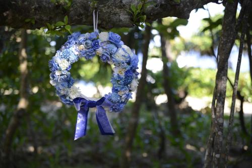 a wreath of blue flowers hanging from a tree at Pine House in ISHIGAKI in Ishigaki Island