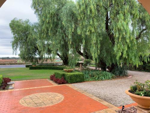 a large weeping willow tree in a park at Barossa House in Tanunda