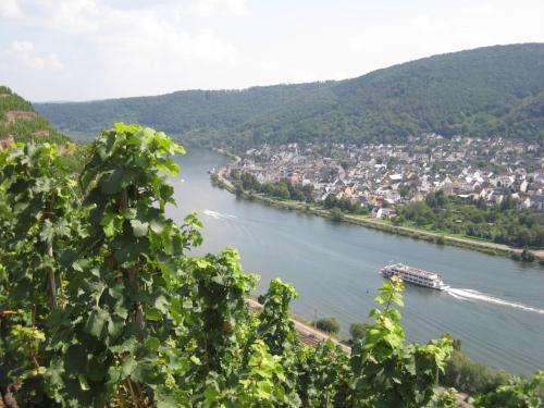 a barge on a river with a town in the background at Landgasthaus Zur Kupferkanne in Kobern-Gondorf