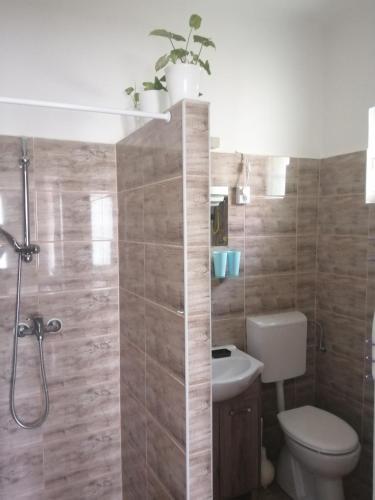 a bathroom with a toilet and a shower at JOLANDA Vendégház in Szálka