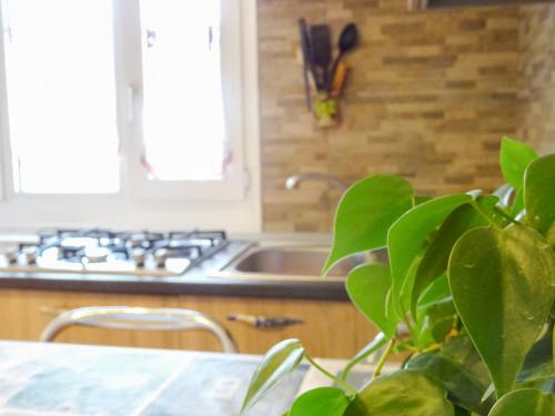 a kitchen with a sink and a potted plant at La piccionaia in Aosta