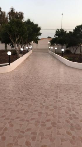 a long walkway with trees and lights on it at TAnoelvira in San Lorenzo