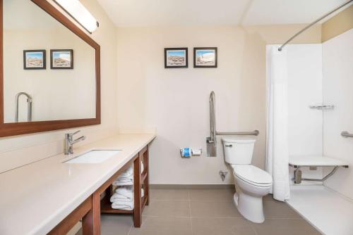 Bagno di Comfort Inn Tonopah