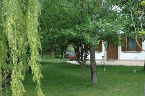 a tree in a yard with a swing at Rose Rosse in Ca' di David