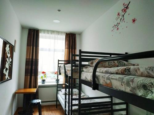 リヴィウにあるArt Galery Hostelのベッドルーム1室(二段ベッド2台、窓付)が備わります。