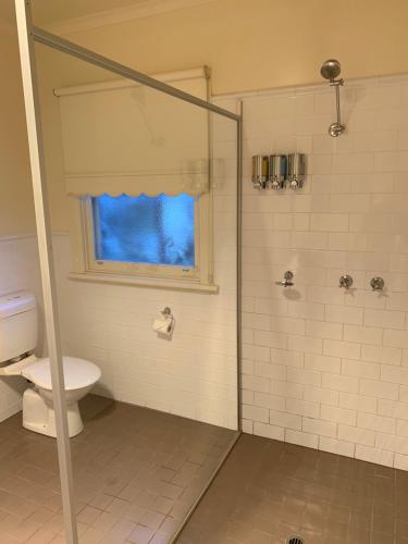 baño con ducha, aseo y ventana en Dunkeld Studio Accommodation en Dunkeld
