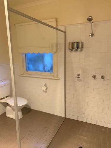 邓凯尔德Dunkeld Studio Accommodation的带淋浴、马桶和窗户的浴室