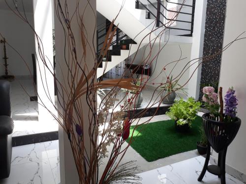 a hallway with a staircase with plants and a green rug at Rohan's Residence in Kandana
