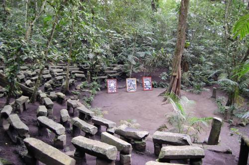 a bunch of rocks in a forest with trees at Reserva Ecologica Nanciyaga in Catemaco