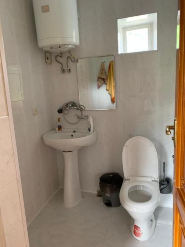a bathroom with a toilet and a sink at Anush restaurant/hotel in Vanadzor