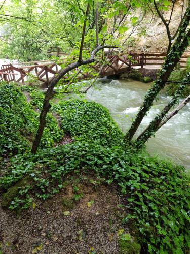 un puente sobre un río con plantas verdes en Guest House Lisinski Raj en Despotovac