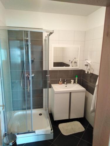 a bathroom with a shower and a sink at Solmaris apartments in Sukošan