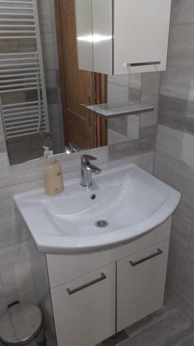 Kylpyhuone majoituspaikassa Apartment Zaklopatica