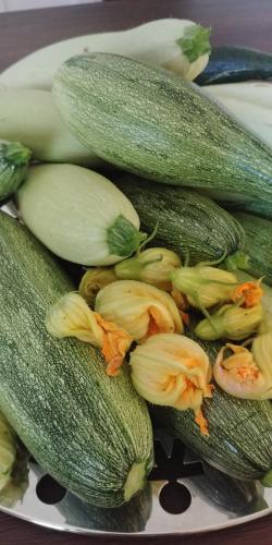 a pile of zucchini on a plate at La Piana degli Ulivi in Rossano
