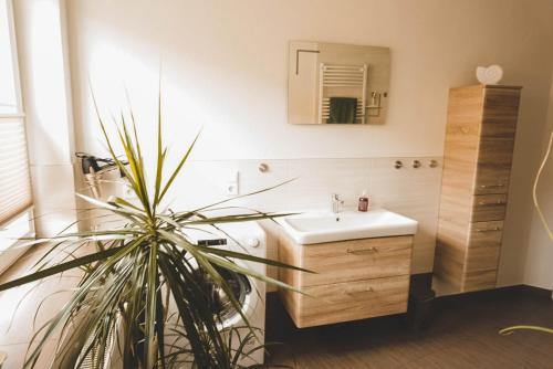 Un baño con un lavabo y una planta en maceta. en am Erxleben-Hotel, en Quedlinburg