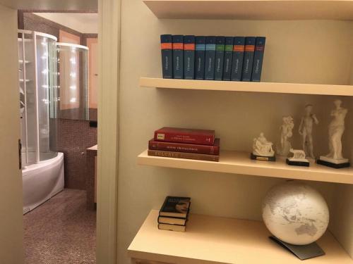 a book shelf with books and a globe on it at B&B Villa delle Palme in Carpi